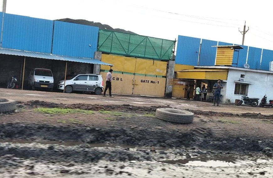 सामाजिक कार्यकर्ता ने की।तीव्रता कोलवासी के खिलाफ कलेक्टर से की शिकायत