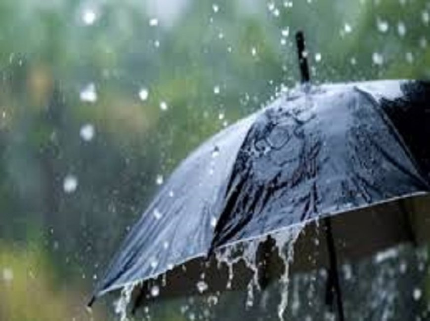 छत्तीसगढ़ में फिर सक्रिय हुआ मानसून, आज से भारी बारिश के आसार