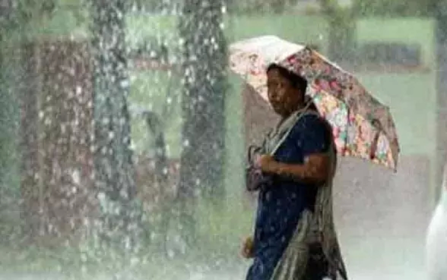 छत्तीसगढ़ में झमाझम बारिश, रायपुर समेत कई जिलों में ऑरेंज अलर्ट जारी