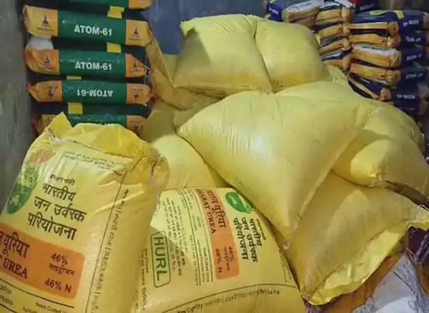 सरगुजा में यूरिया संकट: गोदाम पर छापा, ब्लैक में 1500 रु. तक बिक रहा खाद, धान की फसल पर संकट