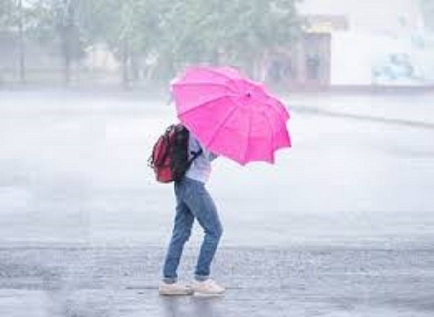 Chhattisgarh Weather Alert: रायपुर समेत कई जिलों में भारी बारिश का अलर्ट जारी