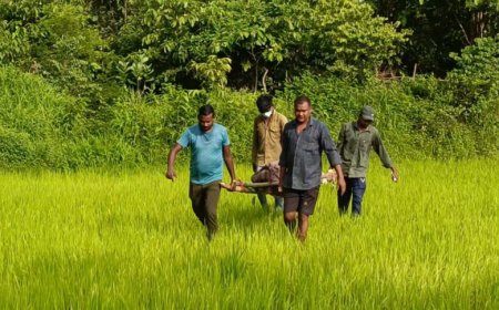 CG : खेत में मिली युवक की लाश, इलाके में फैली दहशत