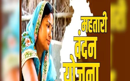 Mahtari Vandan Yojana: महतारी वंदन हितग्राहियों का घर-घर होगा सर्वे, लापरवाही पर होगी सख्त कार्रवाई
