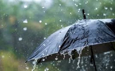 उत्तर भारत में बारिश, बाढ़ और भूस्खलन: पंजाब में अब तक 51 की मौत, हरिद्वार में टनल के पास ट्रैक में गिरा मलबा, 23 ट्रेनें प्रभावित