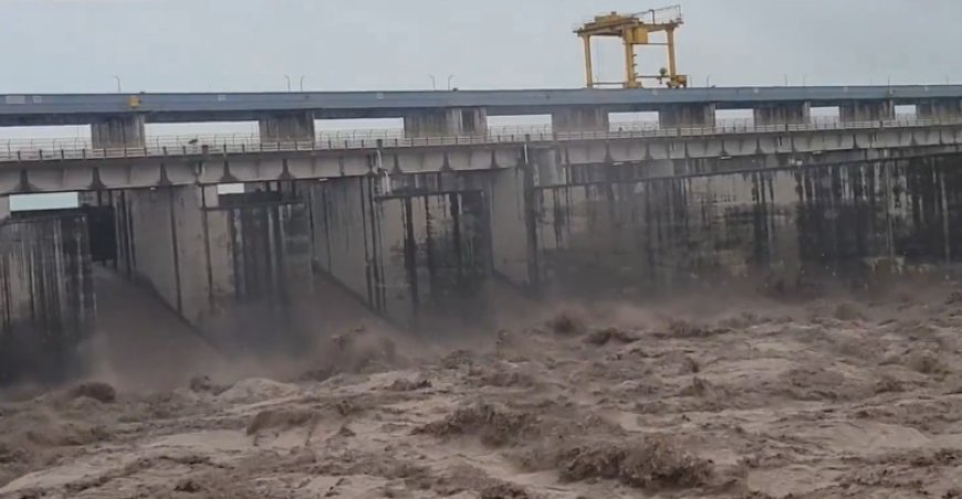 दिल्ली में यमुना खतरे के निशान से ऊपर, निचले इलाकों में बाढ़ का संकट गहराया