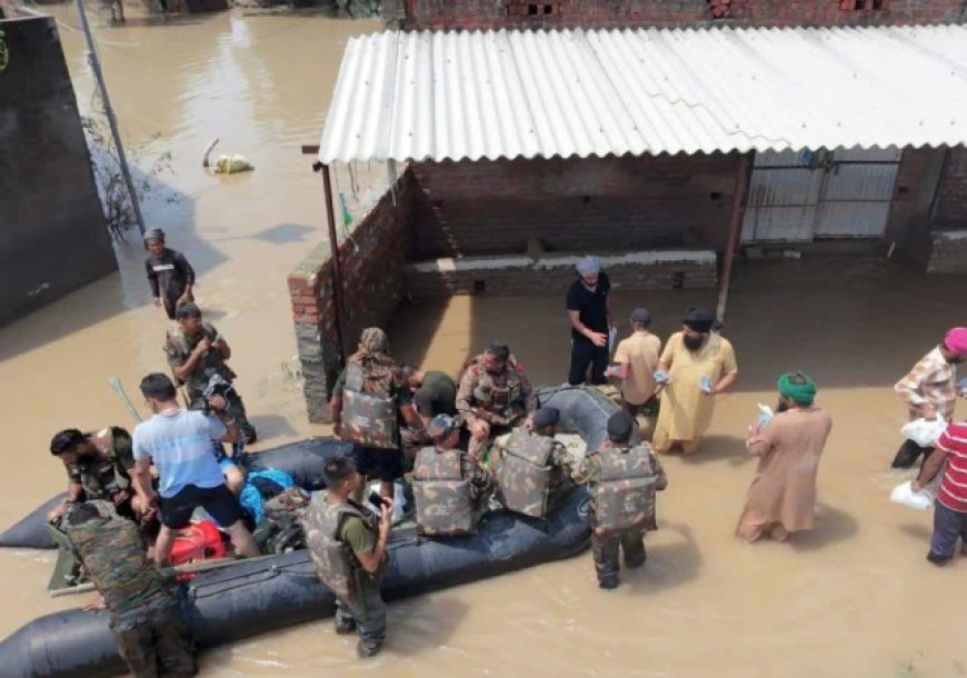 बारिश ने मचाया हाहाकार : बाढ़ से अब तक 43 की मौत,पठानकोट में पहाड़ दरके, लुधियाना में सेना ने संभाला मोर्चा